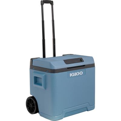 Artikelbild des Artikels “Igloo IE 42, 12/230 Volt “